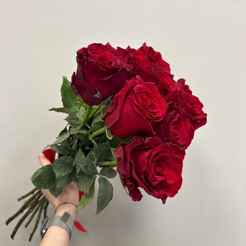 review-photo-before