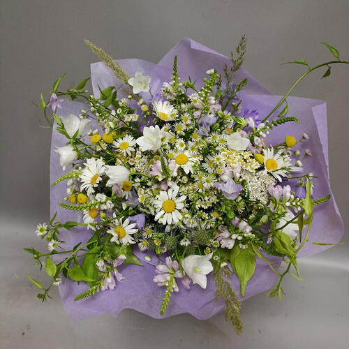 review-photo-before