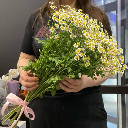review-photo-before