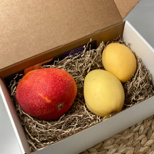 review-photo-before