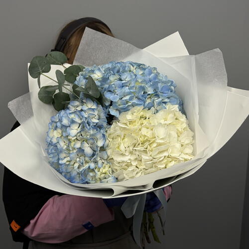 review-photo-before