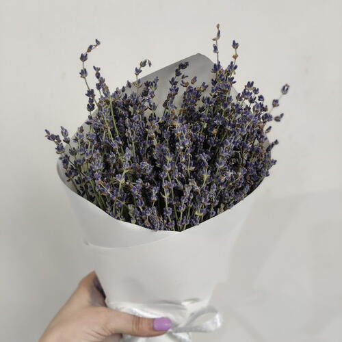 review-photo-before