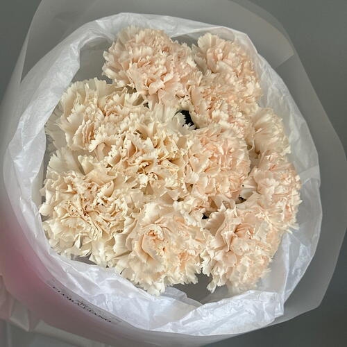 review-photo-before