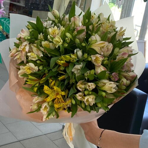 review-photo-before