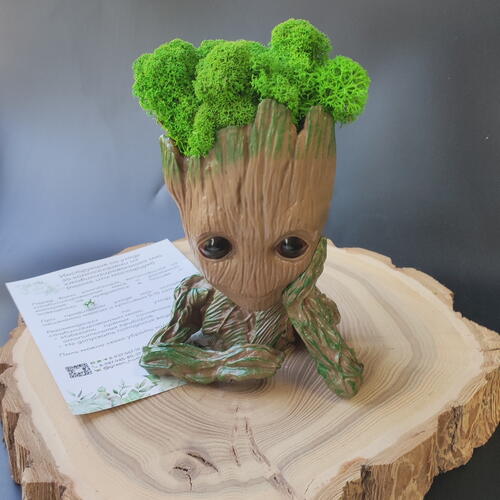 review-photo-before
