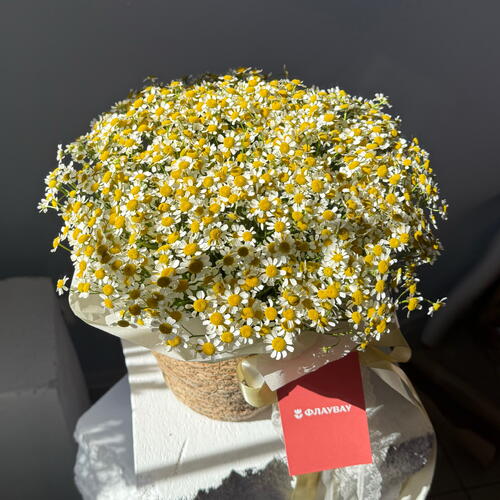 review-photo-before