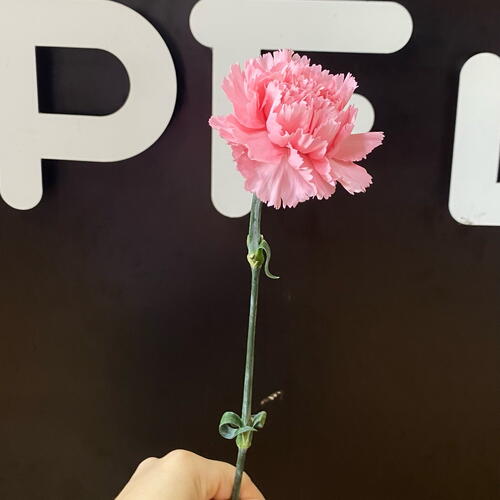 review-photo-before