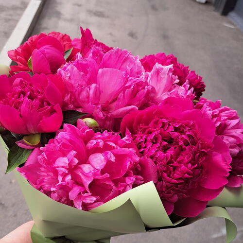 review-photo-before