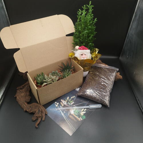 review-photo-before