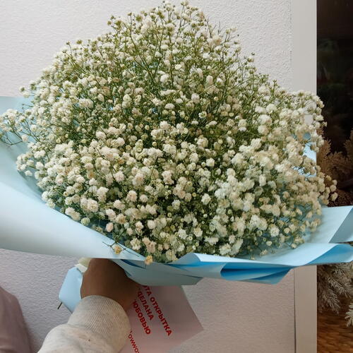 review-photo-before
