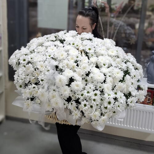 review-photo-before