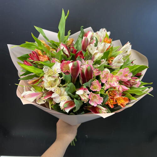 review-photo-before