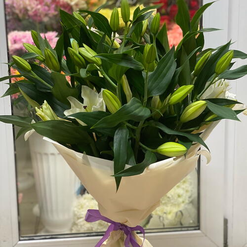 review-photo-before