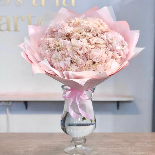 review-photo-before