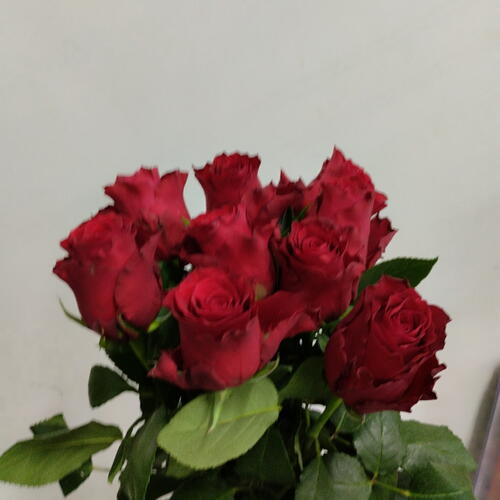 review-photo-before