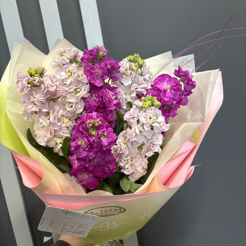 review-photo-before