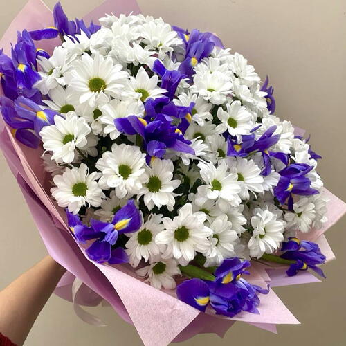 review-photo-before