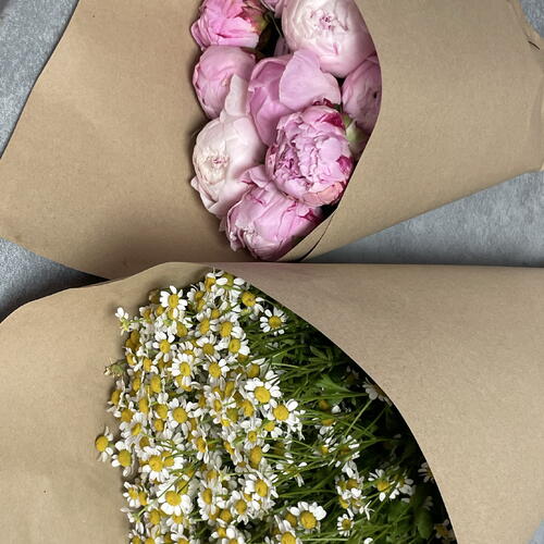 review-photo-before