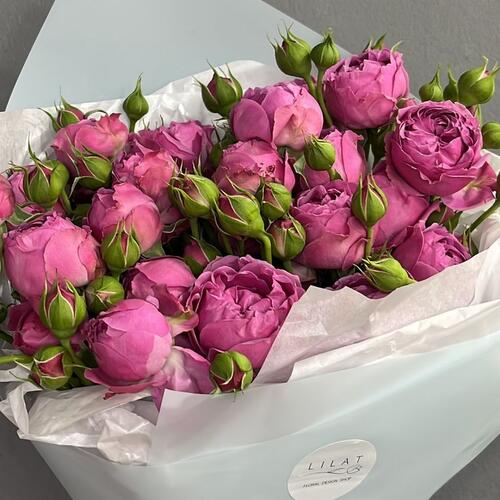 review-photo-before