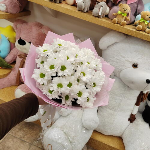 review-photo-before