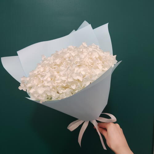 review-photo-before