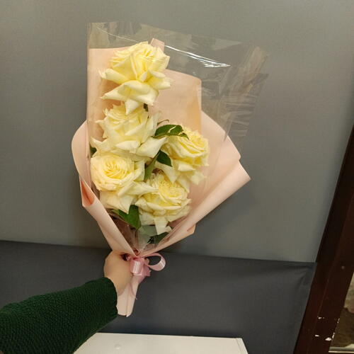 review-photo-before