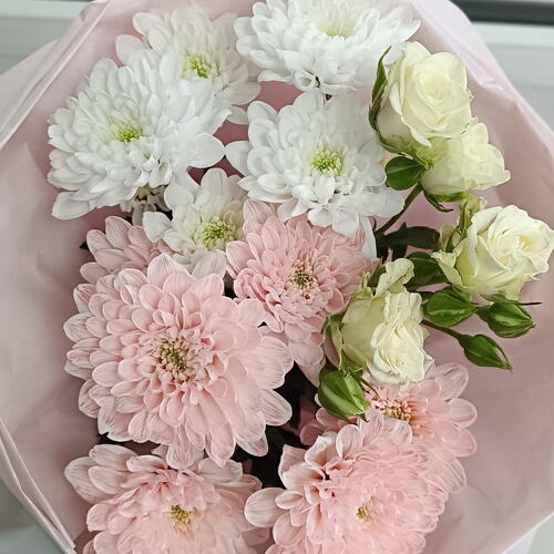 review-photo-before