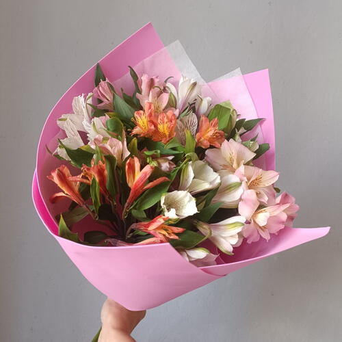 review-photo-before