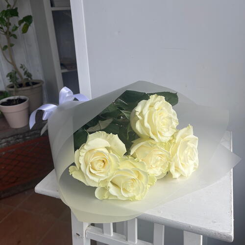 review-photo-before
