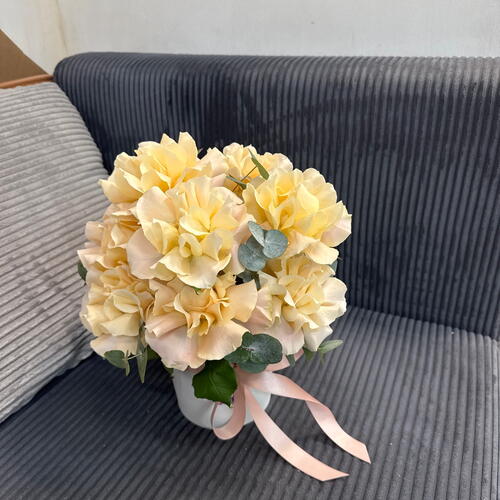 review-photo-before