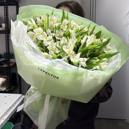 review-photo-before