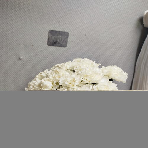 review-photo-before