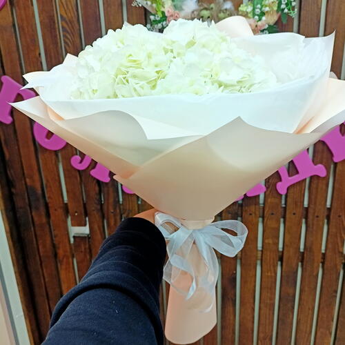 review-photo-before