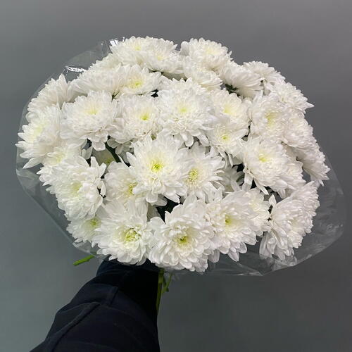 review-photo-before