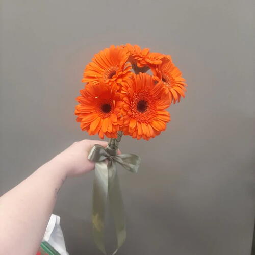 review-photo-before
