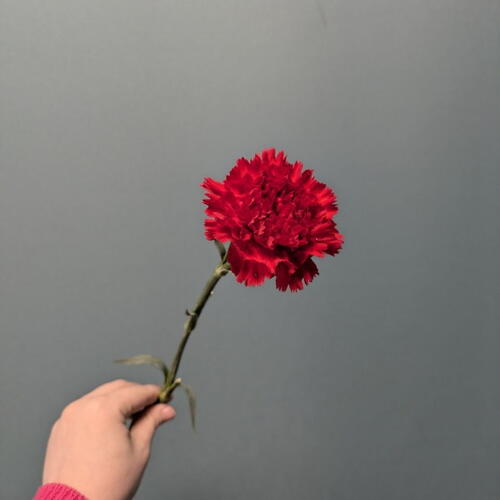 review-photo-before
