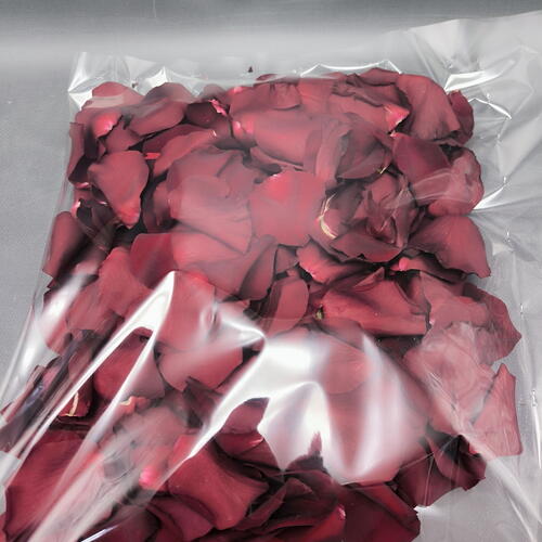 review-photo-before