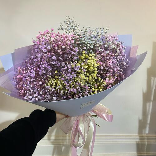 review-photo-before