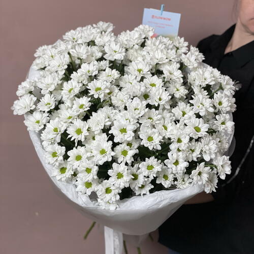 review-photo-before