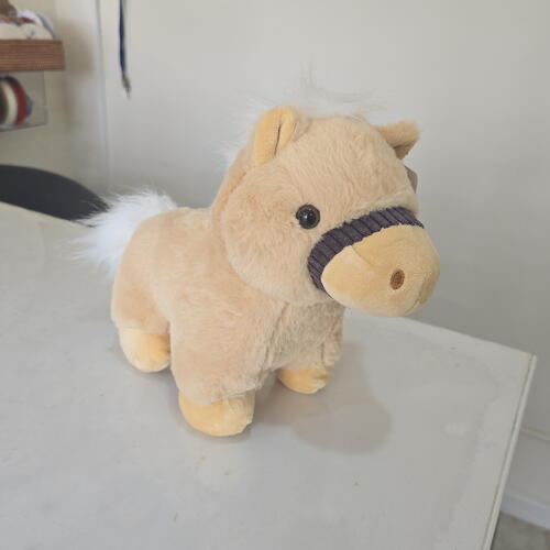 review-photo-before
