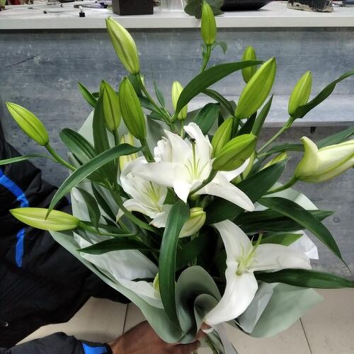 review-photo-before