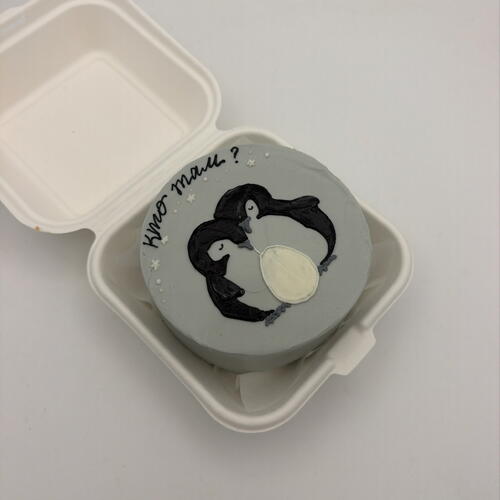 review-photo-before
