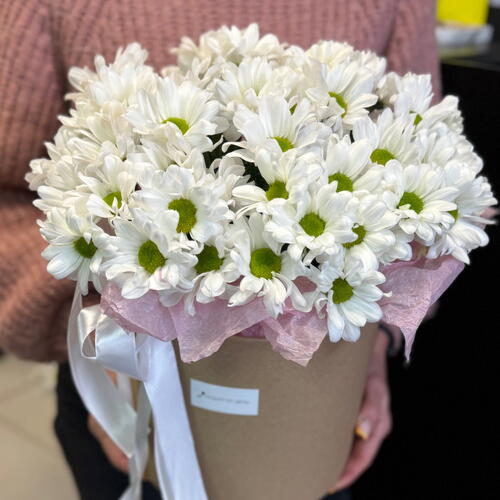review-photo-before