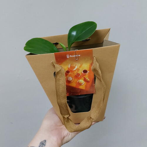 review-photo-before