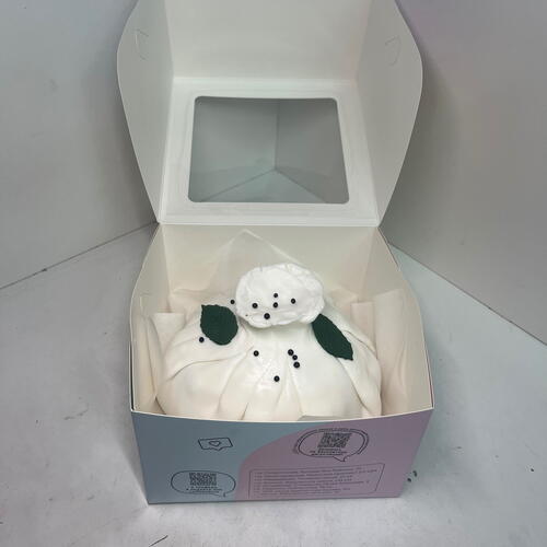 review-photo-before
