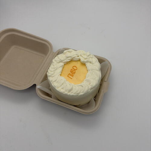 review-photo-before