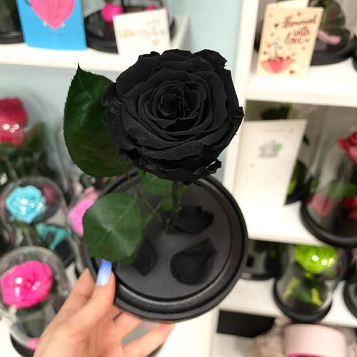 review-photo-before
