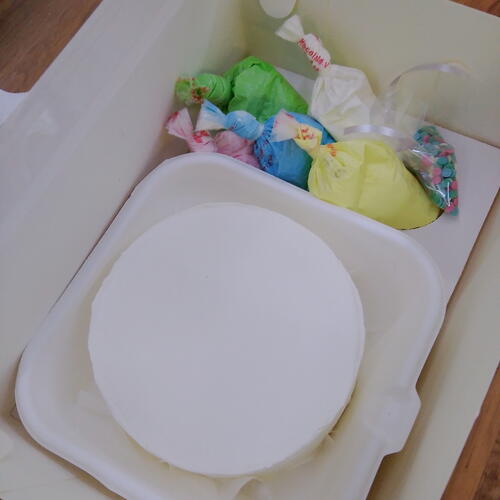 review-photo-before