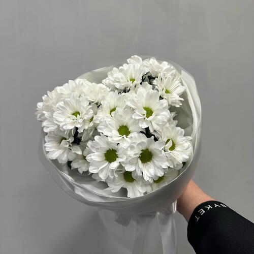 review-photo-before