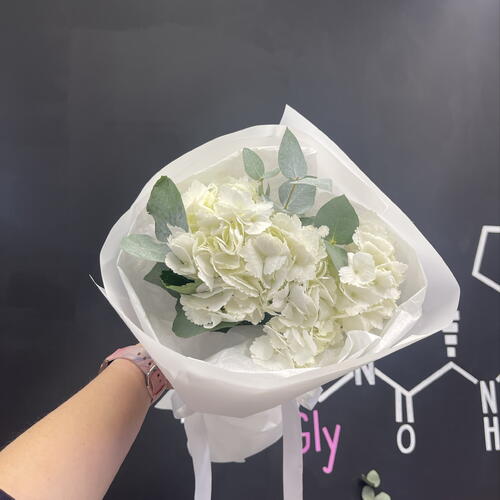 review-photo-before
